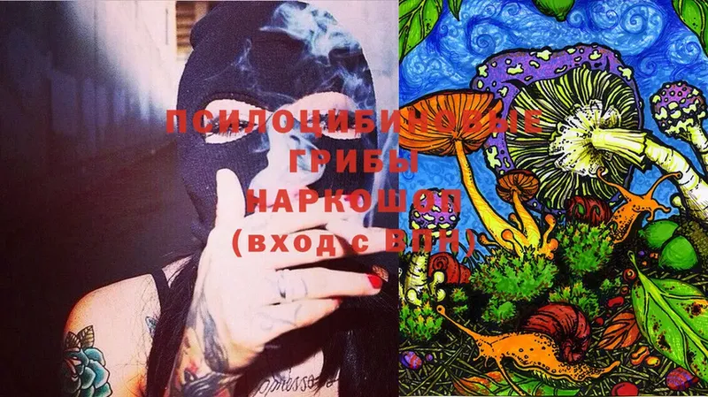 omg ССЫЛКА  Берёзовский  Галлюциногенные грибы Cubensis 